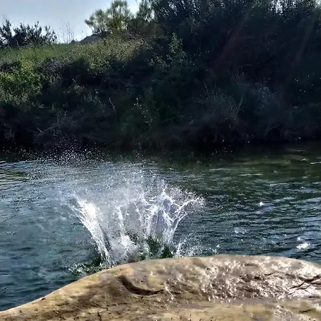 カントリーハウス Cal Antoniet Del