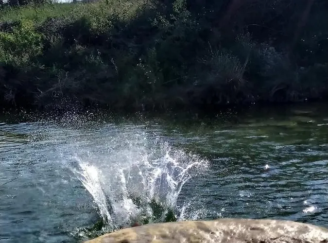 Casa di campagna Cal Antoniet Del